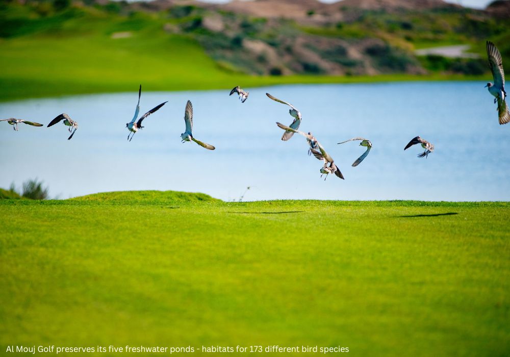 Al Mouj Golf adds International Environmental Golf Club Award to list of accolades